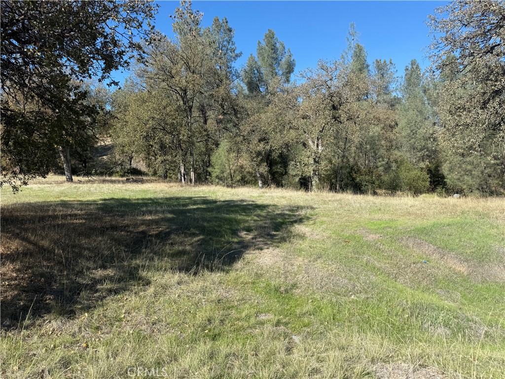 16712 Stagecoach Road Corning, CA 96021 - Photo 10 of 15 a view of a yard with trees