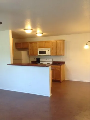 a kitchen with a sink a stove and refrigerator