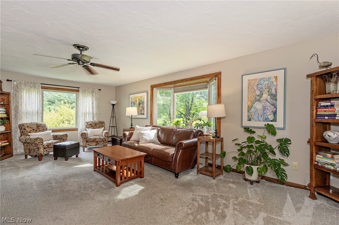 8635 Crow Road Litchfield, OH 44253 - Photo 3 of 46 Gallery Image 3