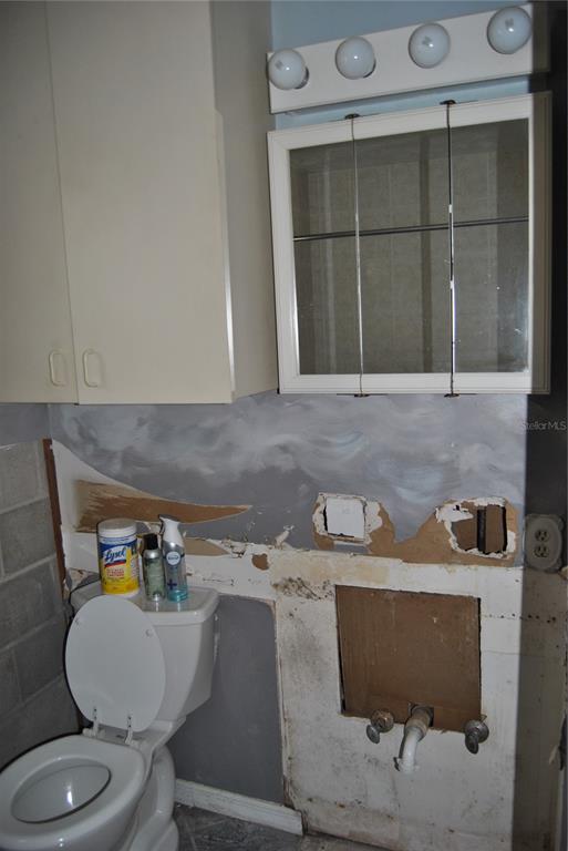 119 18th Street Northwest Ruskin, FL 33570 - Photo 10 of 20 a bathroom with a toilet and a sink