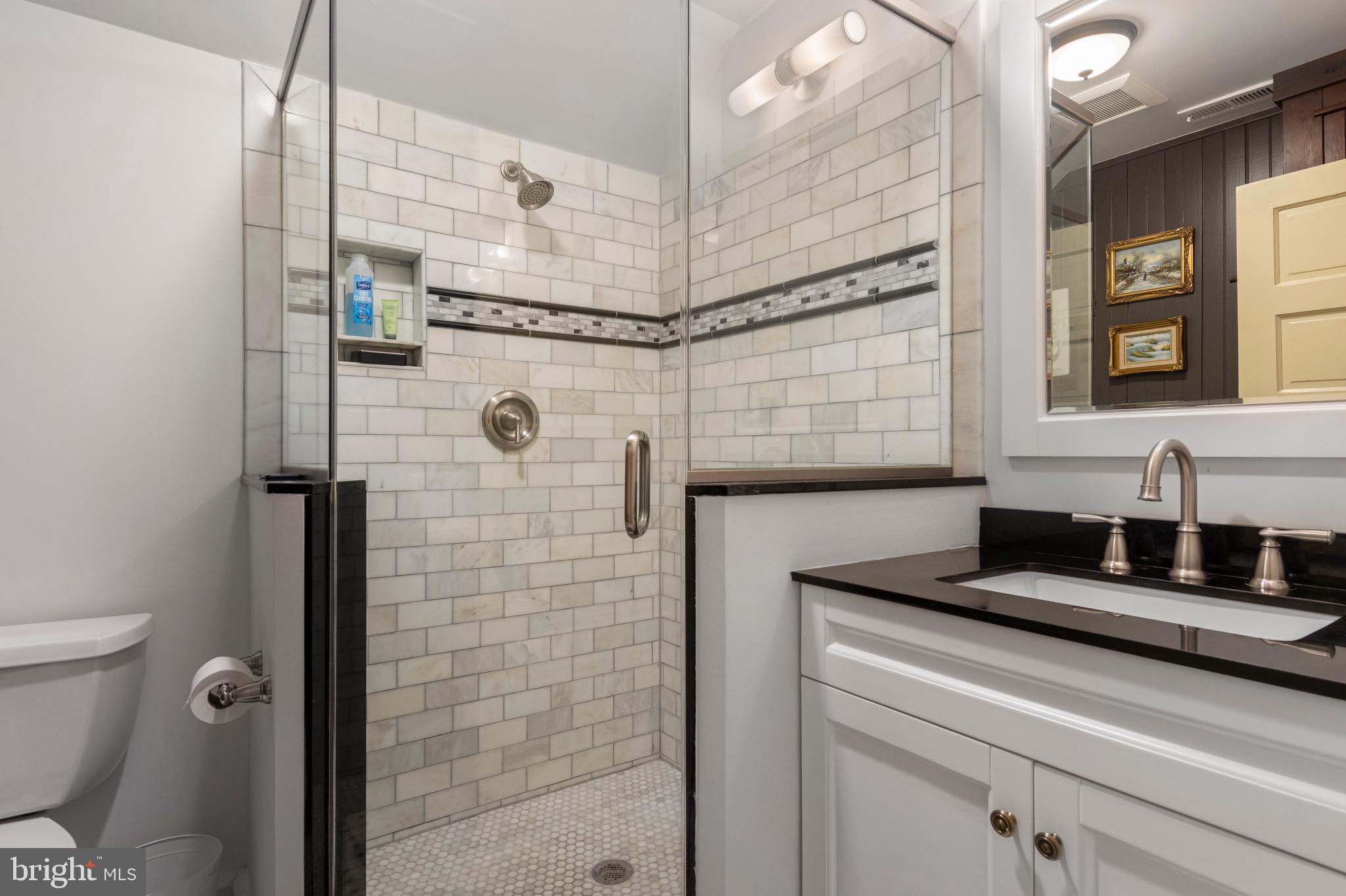 212 Plush Mill Road Wallingford, PA 19086 - Photo 56 of 92 Primary En-suite Bath