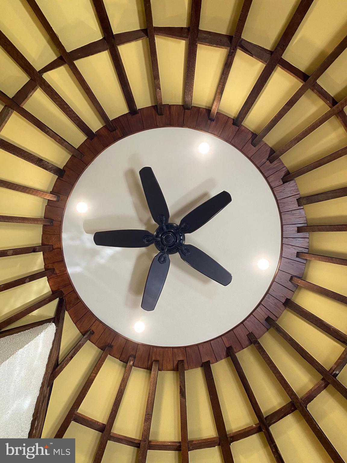 212 Plush Mill Road Wallingford, PA 19086 - Photo 61 of 92 Turret Ceiling