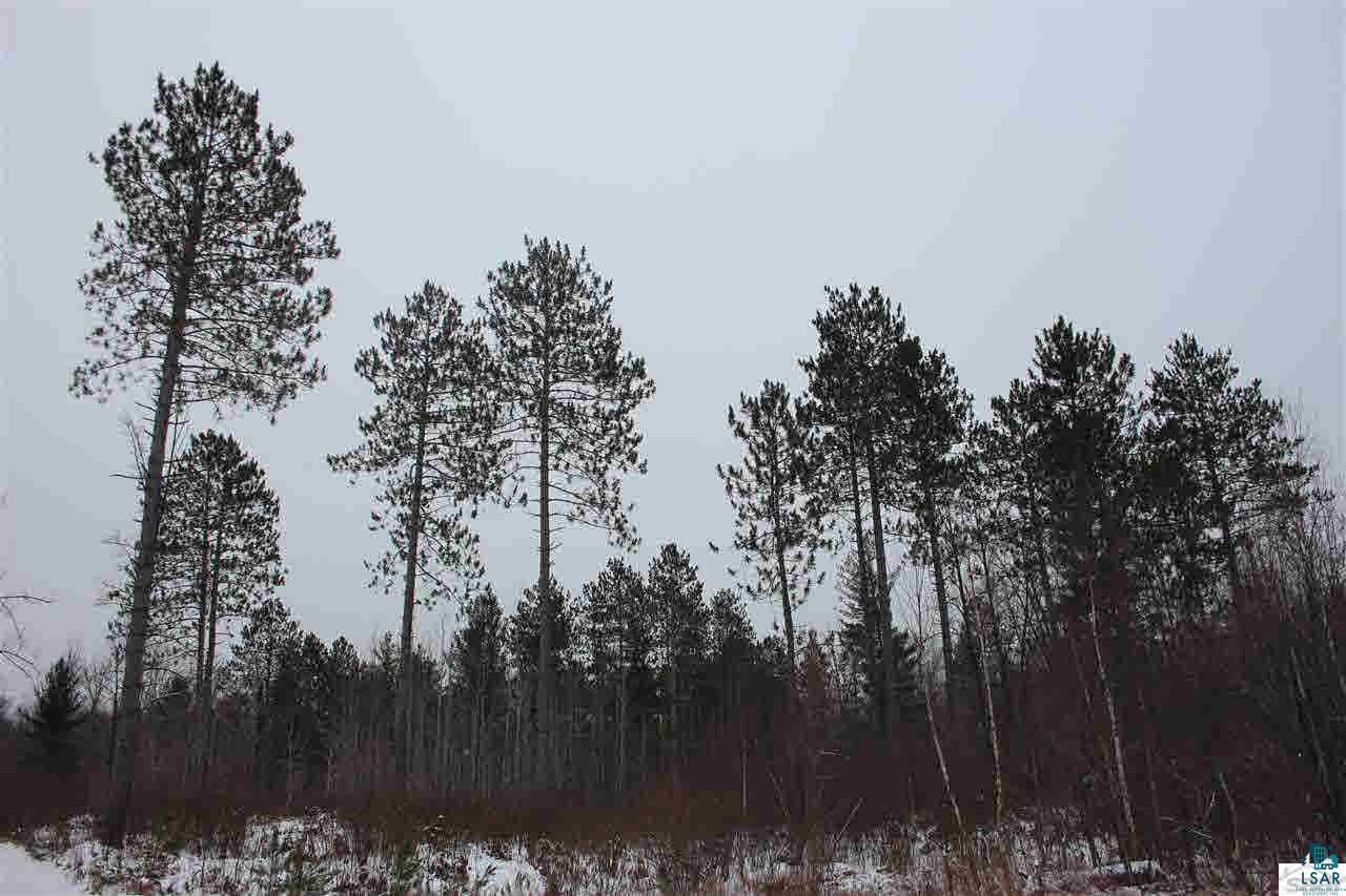 11489 East Back 80 Road Lake Nebagamon, WI 54849 - Photo 8 of 10