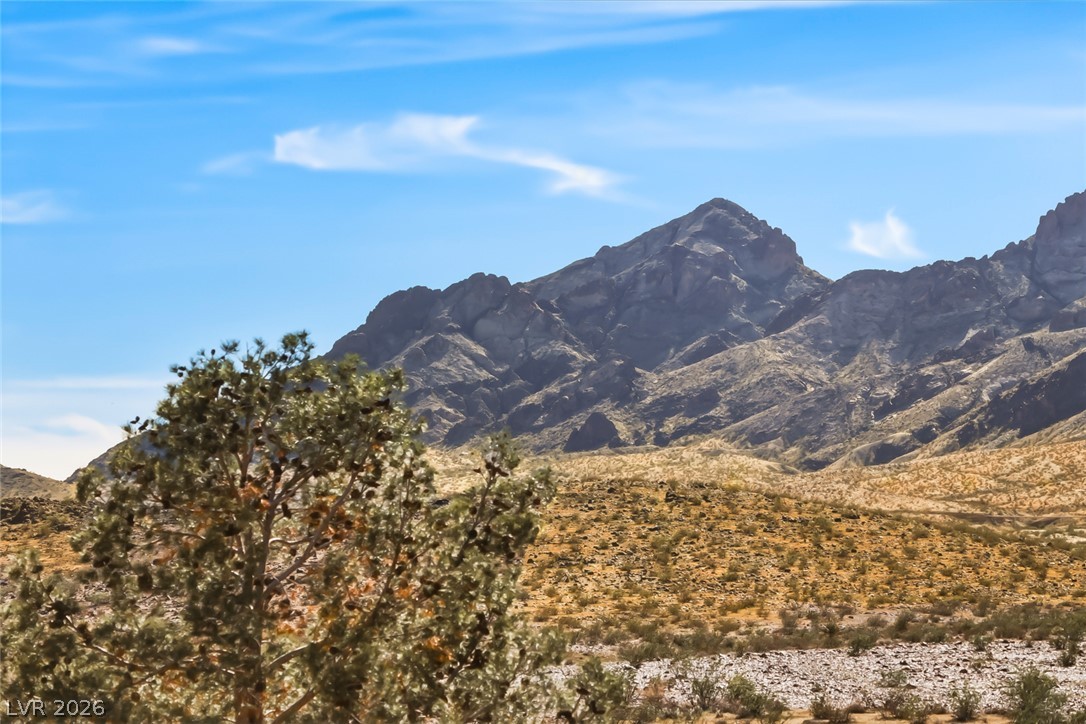 1140 Julie Road Henderson, NV 89002 - Photo 10 of 38 Dramatic mountain vistas define this exceptional desert property.