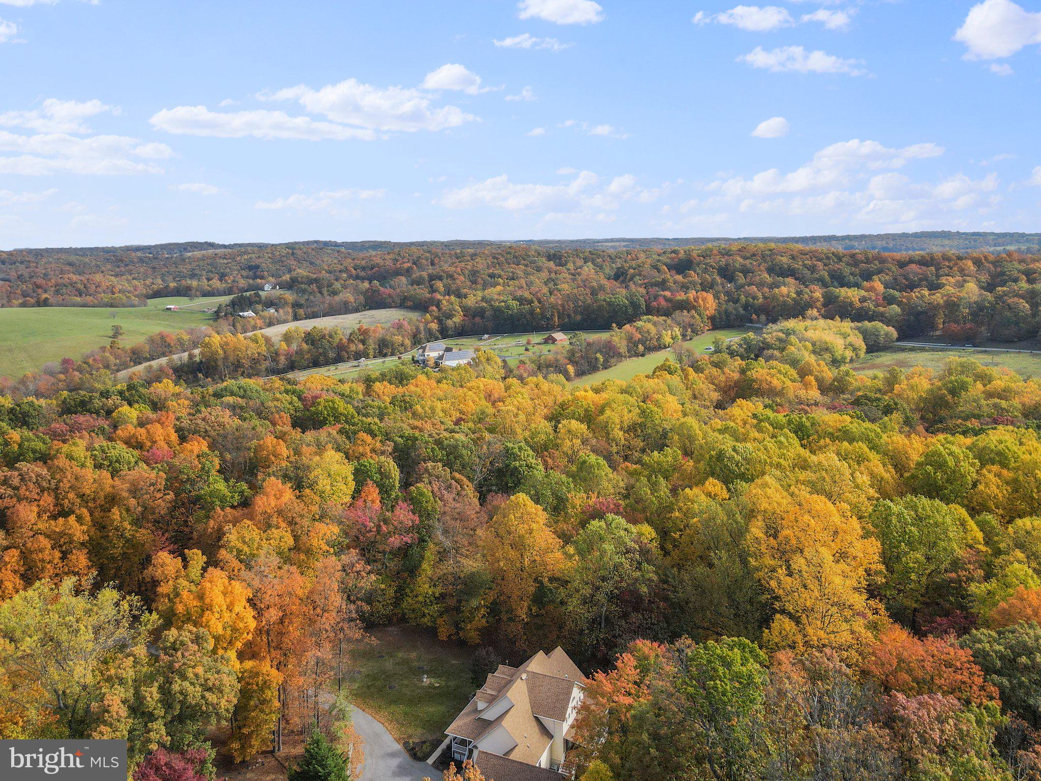 7532 Talbot Run Road Mount Airy, MD 21771 - Photo 77 of 84