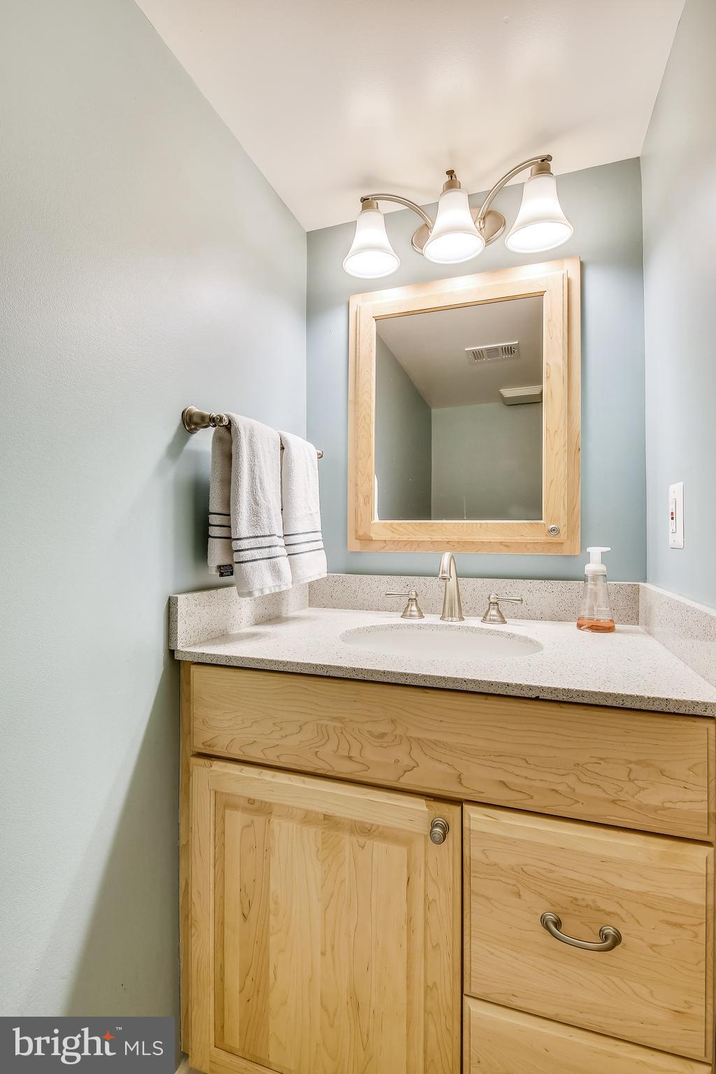 8134 Inverness Ridge Road Potomac, MD 20854 - Photo 18 of 27 Lower Level Bath