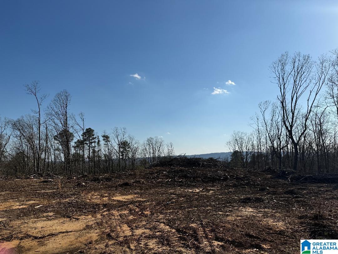 500 Haynes Road Altoona, AL 35952 - Photo 24 of 50