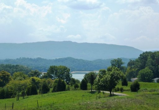 1424 Sandy Ridge Road Dandridge, TN 37725 - Photo 4 of 18 Additional Photo