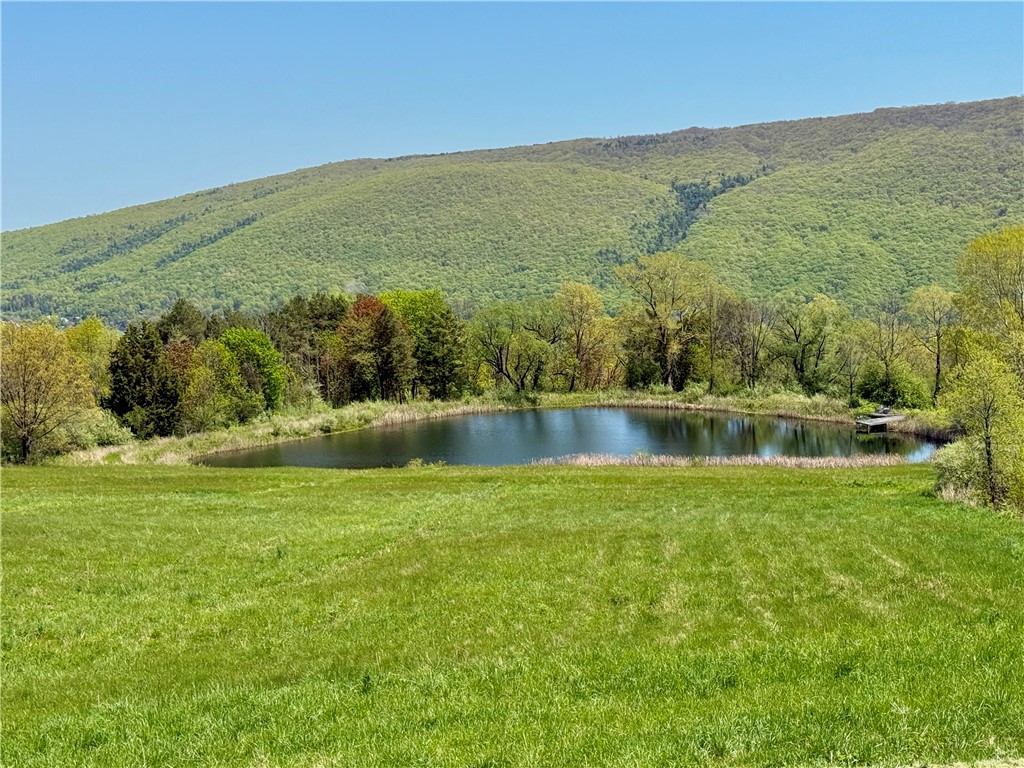 6731 County Road 12 Naples, NY 14512 - Photo 22 of 26