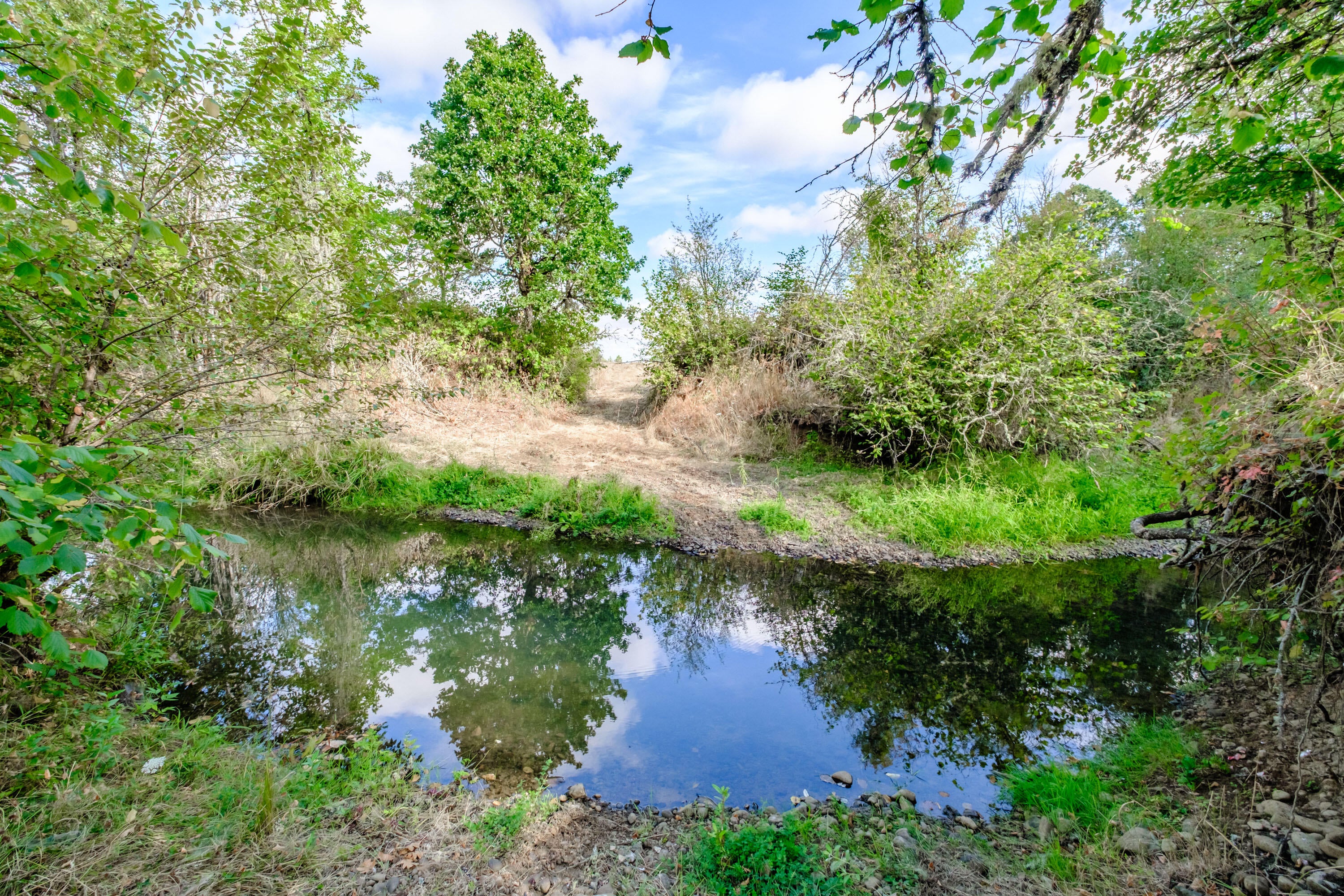 12495 Clow Corner Road Dallas, OR 97338 - Photo 48 of 50 Export-2773