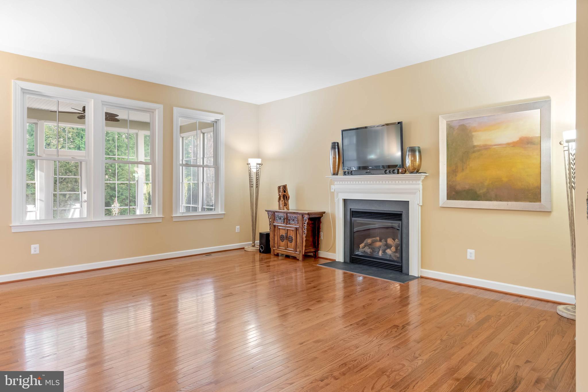 31047 Scissorbill Road Ocean View, DE 19970 - Photo 14 of 79 Extended Great Room Natural Gas Fireplace& Hearth