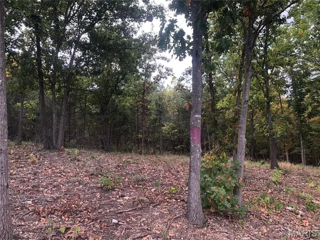 $250,000 | Lot 1 Of Hawks Retreat, De Soto, MO 63020