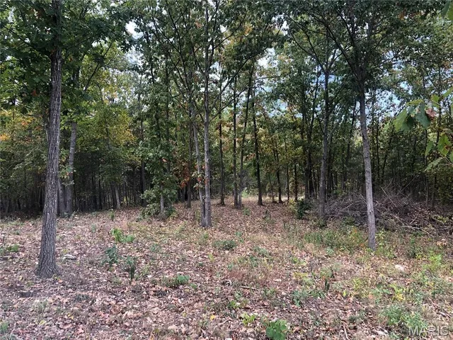 $250,000 | Lot 1 Of Hawks Retreat, De Soto, MO 63020