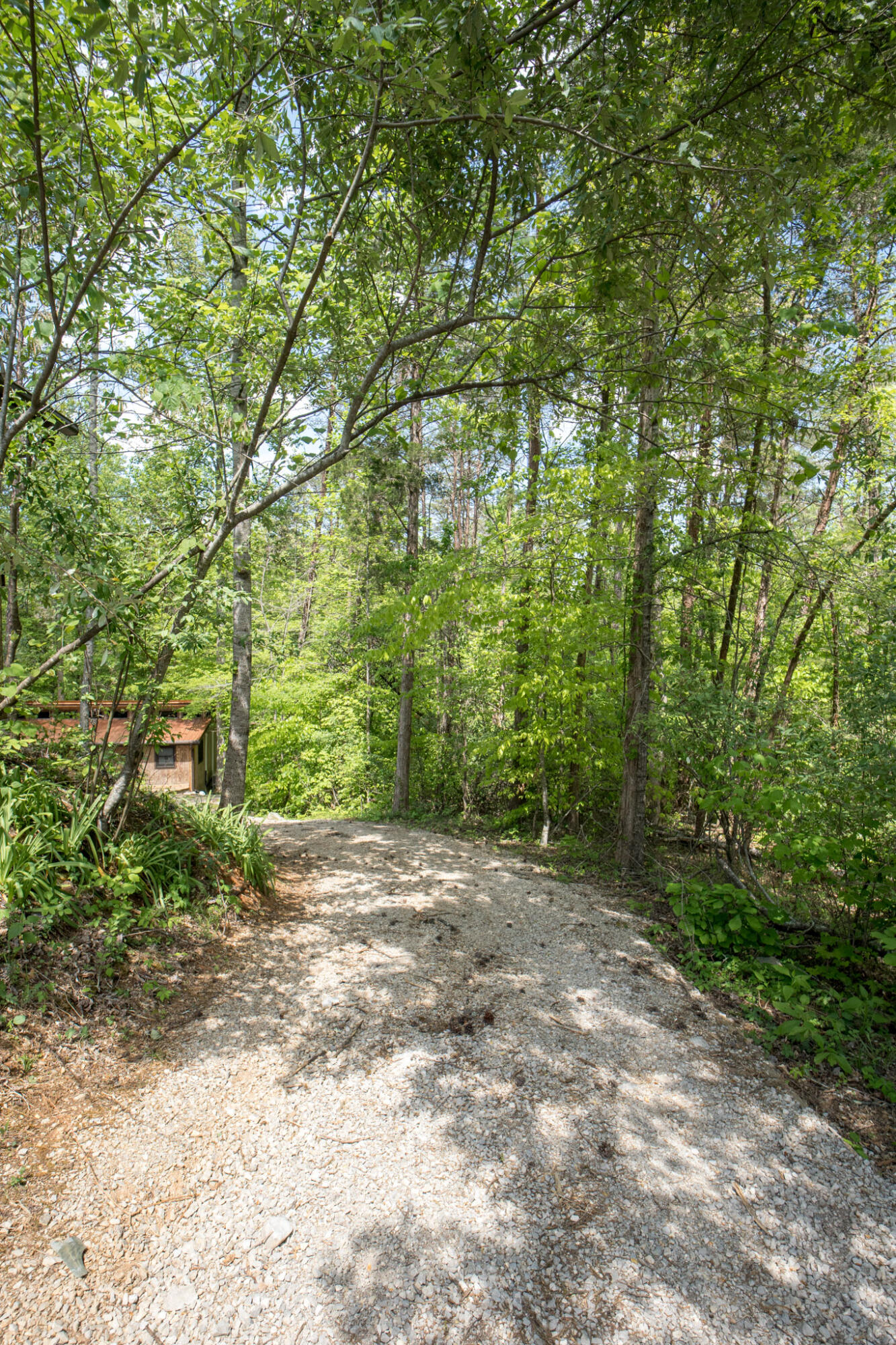 2040 Echo Point Road Bronston, KY 42518 - Photo 29 of 81 2040EchoPointRd-48