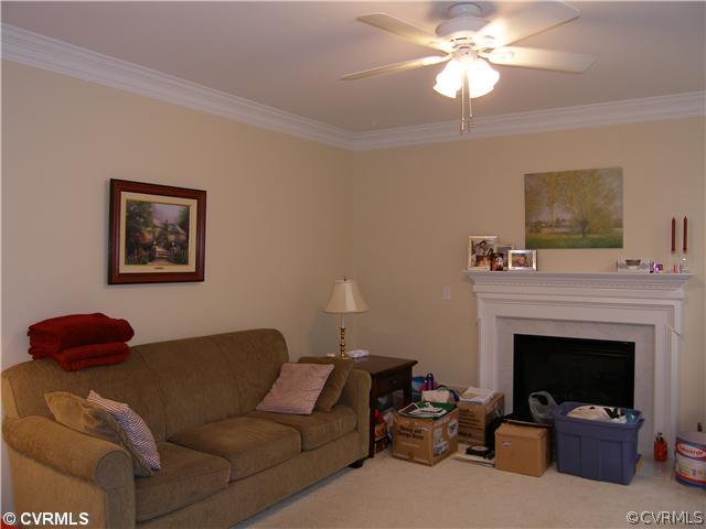 913 Biggin Pond Road Midlothian, VA 23114 - Photo 13 of 24 a living room with furniture and a fireplace