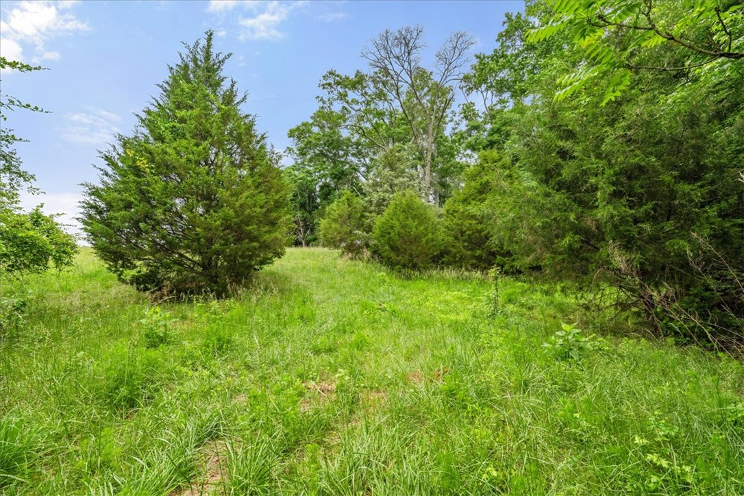 0 Highway 81 South Iva, SC 29655 - Photo 23 of 44