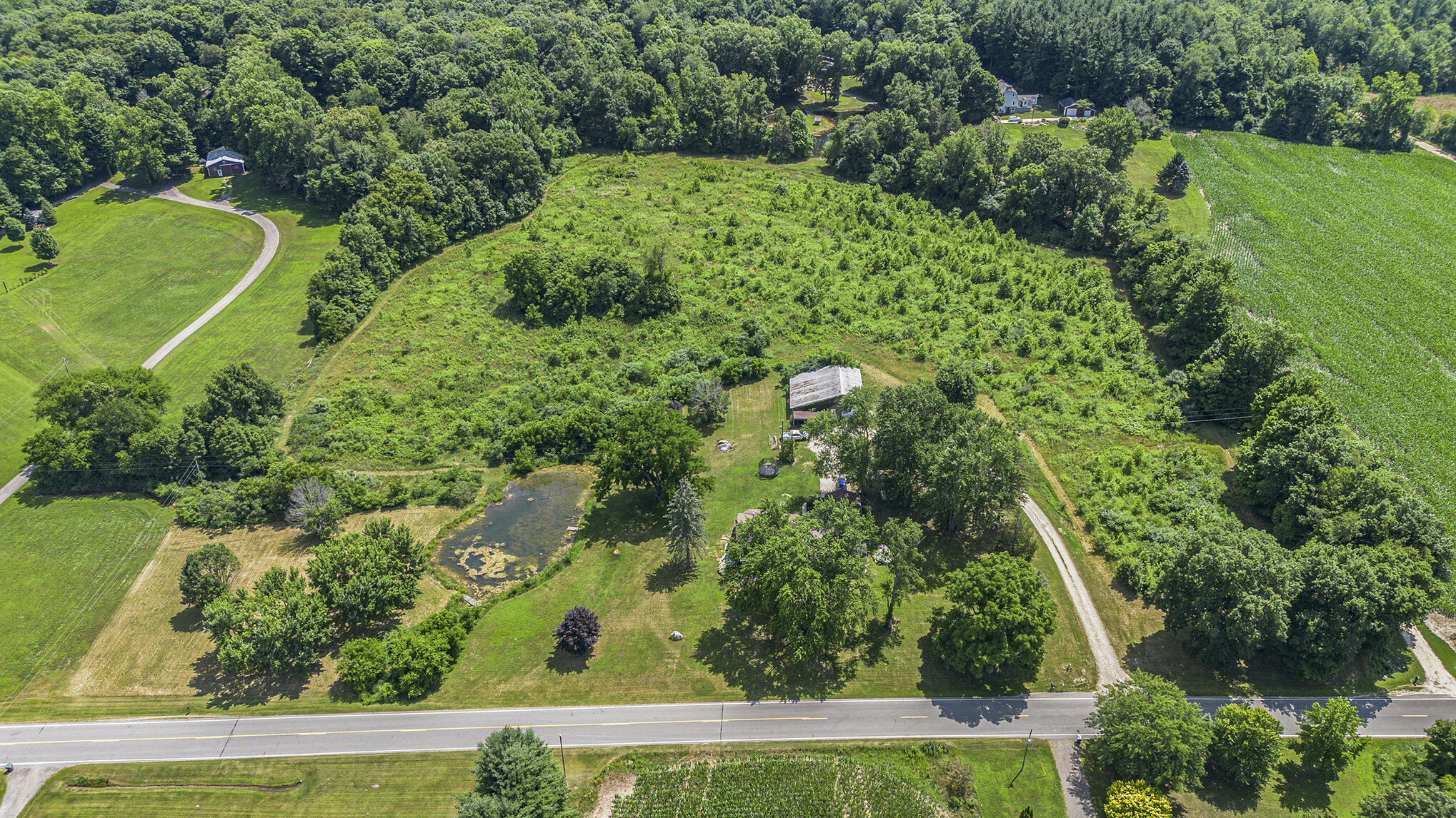 41621 County Road 669 Decatur, MI 49045 - Photo 14 of 15 014_dji_0578.jpg-_107