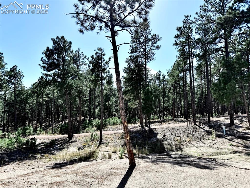3135 Promise Point Colorado Springs, CO 80921 - Photo 16 of 29 Hiking Trails