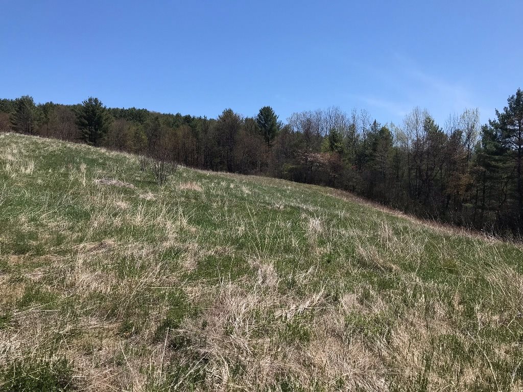 0 Laplante Road Lebanon, NH 03766 - Photo 5 of 9