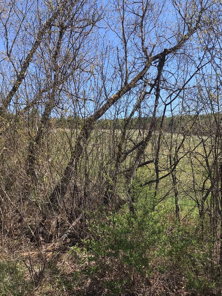 0 Laplante Road Lebanon, NH 03766 - Photo 8 of 9