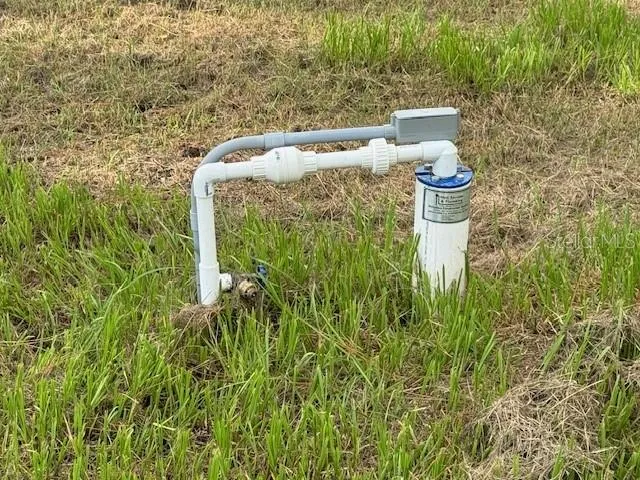 a view of a yard with plants