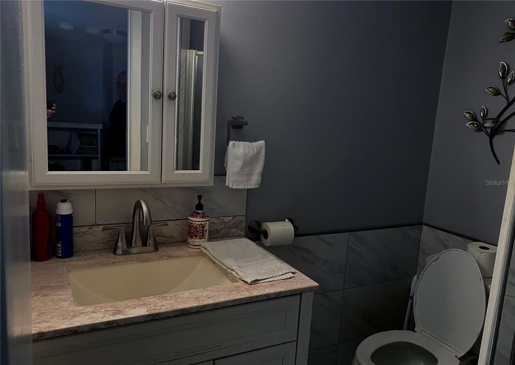1500 Gay Road, Unit 24B Winter Park, FL 32789 - Photo 17 of 21 a bathroom with a sink and a mirror