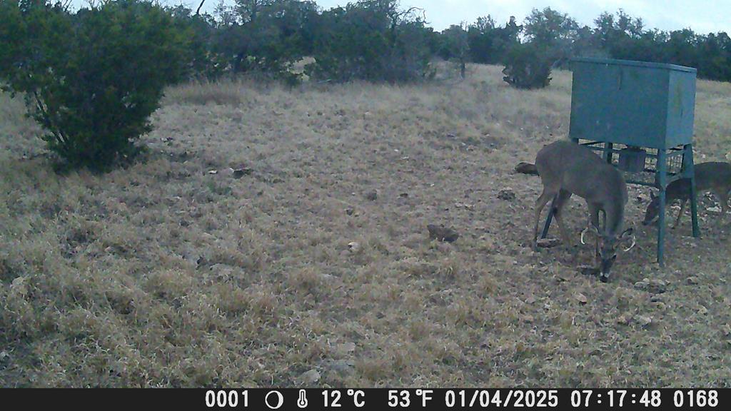 499 Sd 24750 Rocksprings, TX 78880 - Photo 13 of 21