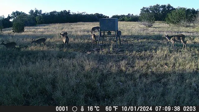 a view of a lake from a yard
