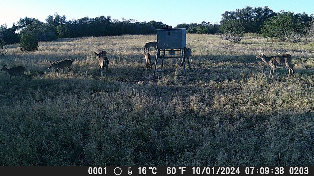 499 Sd 24750 Rocksprings, TX 78880 - Photo 15 of 21