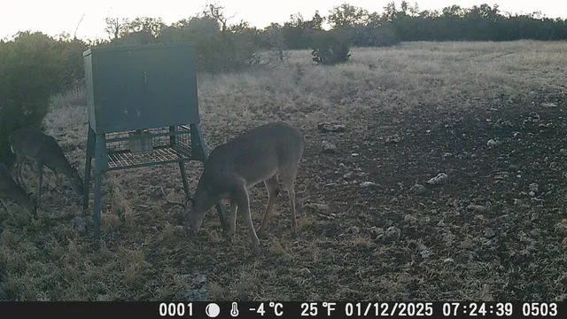 a view of a outdoor space