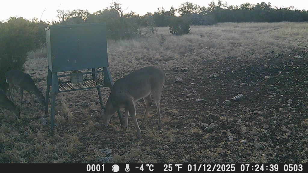 499 Sd 24750 Rocksprings, TX 78880 - Photo 17 of 21