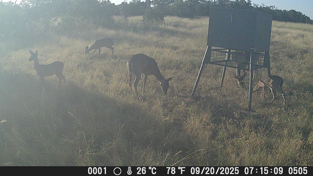499 Sd 24750 Rocksprings, TX 78880 - Photo 18 of 21