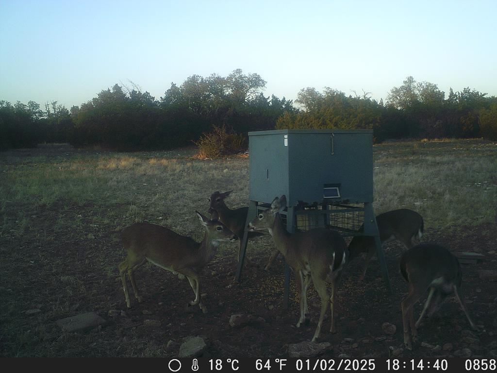499 Sd 24750 Rocksprings, TX 78880 - Photo 20 of 21