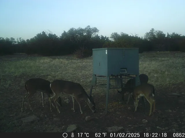 $599,950 | 499 Sd 24750, Rocksprings, TX 78880