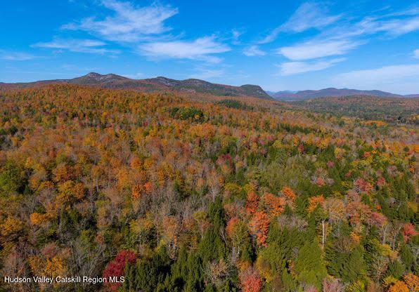 a view of a town with mountains in the background
