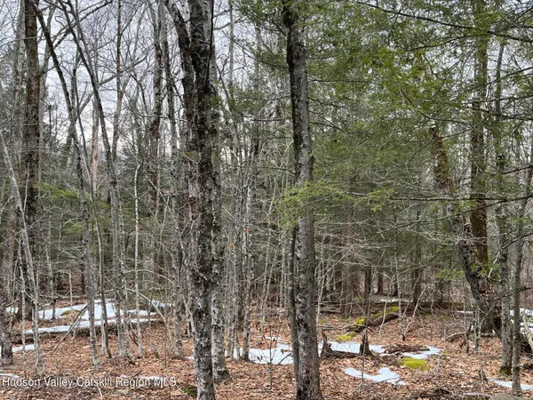 $75,000 | Tbd Tbd Off North Lake Road, Haines Falls, NY 12436