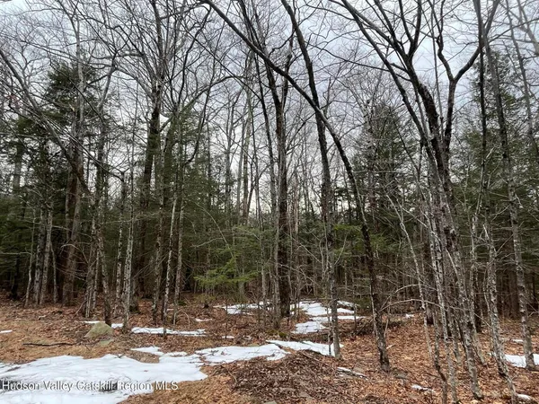 $75,000 | Tbd Tbd Off North Lake Road, Haines Falls, NY 12436