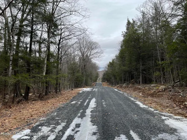 $75,000 | Tbd Tbd Off North Lake Road, Haines Falls, NY 12436