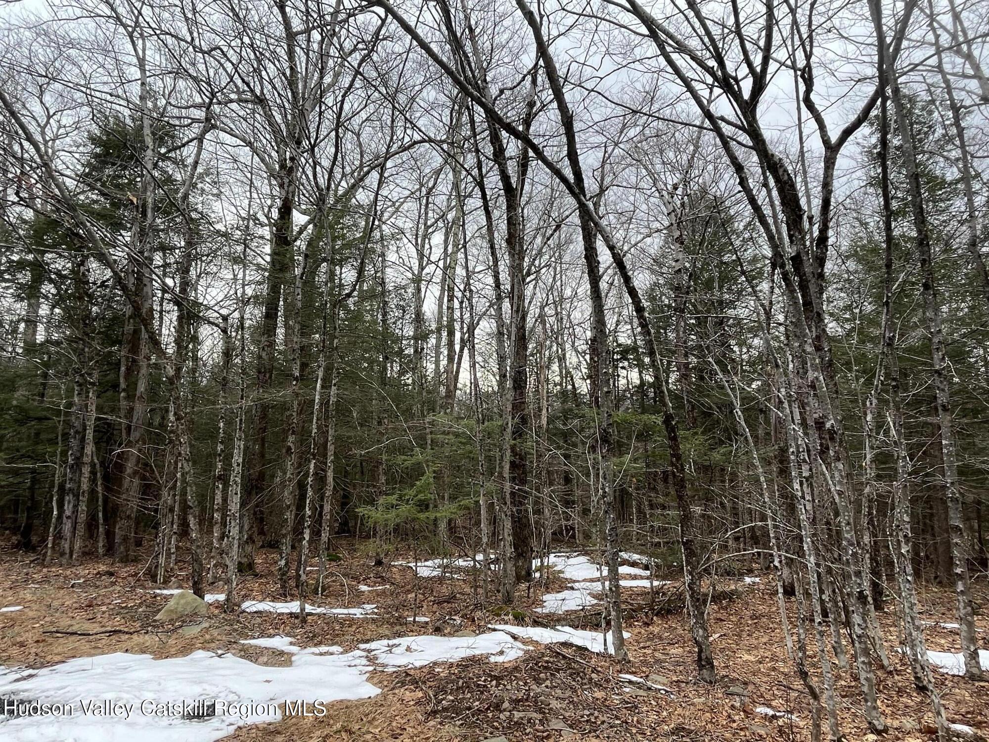 Tbd Tbd Off North Lake Road Haines Falls, NY 12436 - Photo 26 of 28 a view of outdoor space with trees