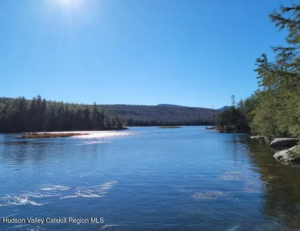 $75,000 | Tbd Tbd Off North Lake Road, Haines Falls, NY 12436