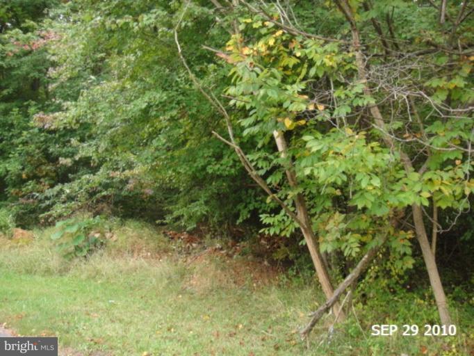 15317 Holly Grove Road Silver Spring, MD 20905 - Photo 3 of 5 Wooded View / Acreage