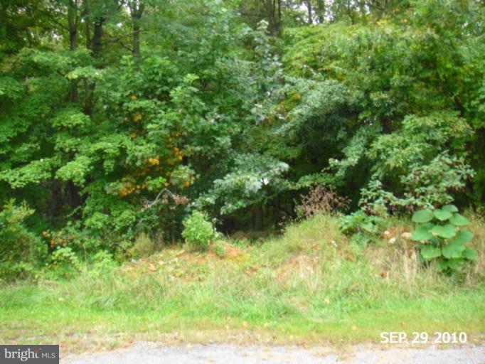 15317 Holly Grove Road Silver Spring, MD 20905 - Photo 4 of 5 Wooded View / Acreage 2