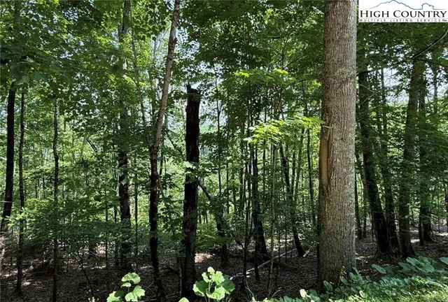 $25,000 | 172 Hemlock Hill Road, Beech Mountain, NC 28604