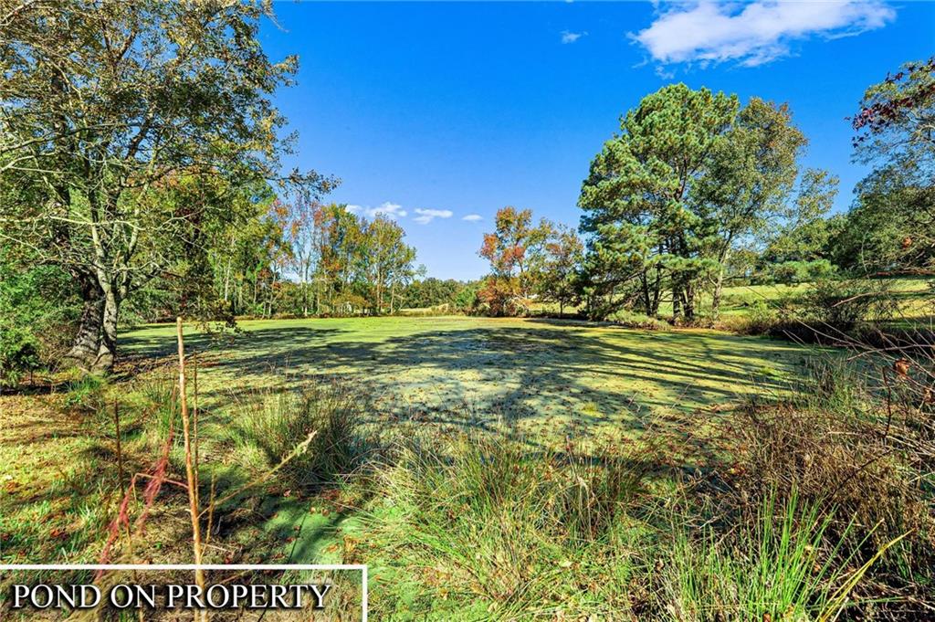 1736 Airline School Road Bowersville, GA 30516 - Photo 12 of 33 a view of a big yard