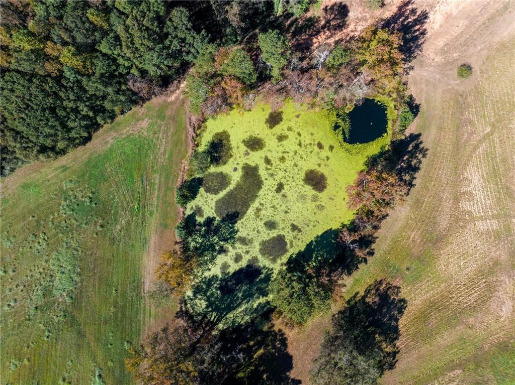 1736 Airline School Road Bowersville, GA 30516 - Photo 13 of 33 a view of a garden with plants