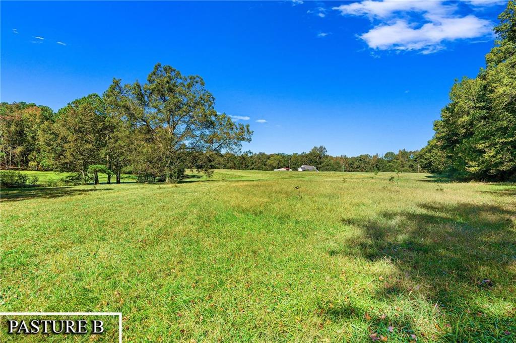 1736 Airline School Road Bowersville, GA 30516 - Photo 16 of 33 a view of a green field