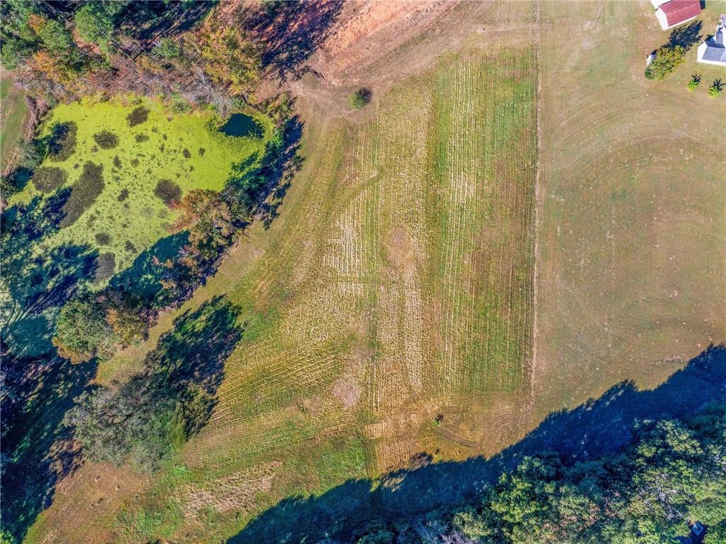 1736 Airline School Road Bowersville, GA 30516 - Photo 17 of 33 a view of a bunch of flowers in a garden