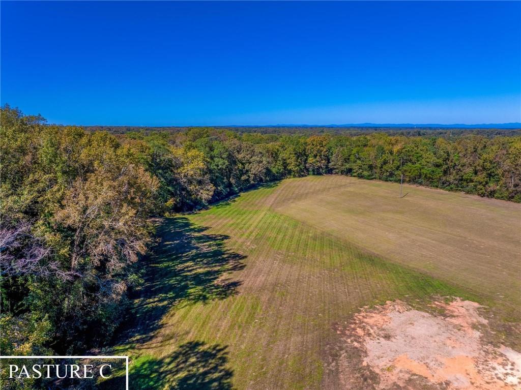 1736 Airline School Road Bowersville, GA 30516 - Photo 20 of 33 a view of an ocean