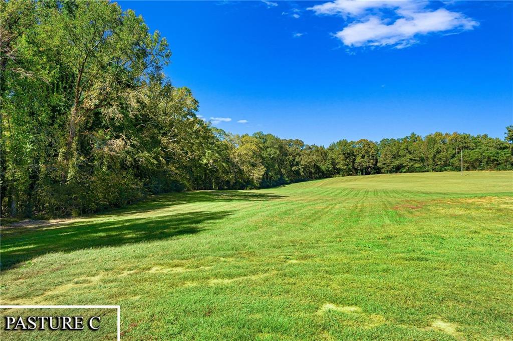 1736 Airline School Road Bowersville, GA 30516 - Photo 21 of 33 a view of a grassy field with an trees