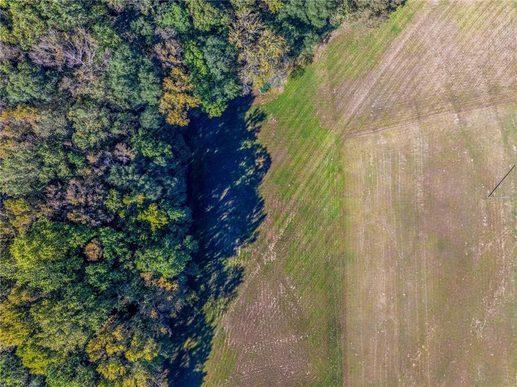 1736 Airline School Road Bowersville, GA 30516 - Photo 22 of 33 a view of a tree in a garden